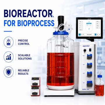 bioreactor